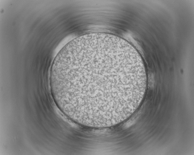 X0000077331386200611171756