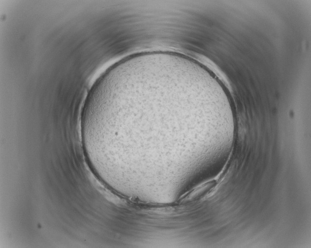 X0000077331388200611171756