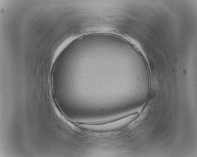 X0000077331389200611171756