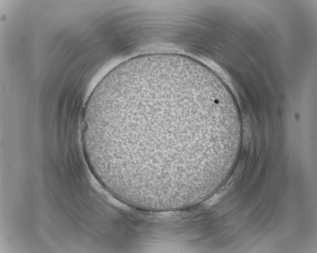 X0000077331390200611171756