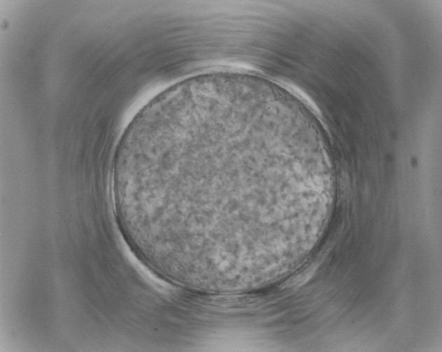 X0000077331391200611171756