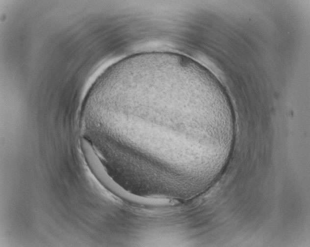 X0000077331392200611171756