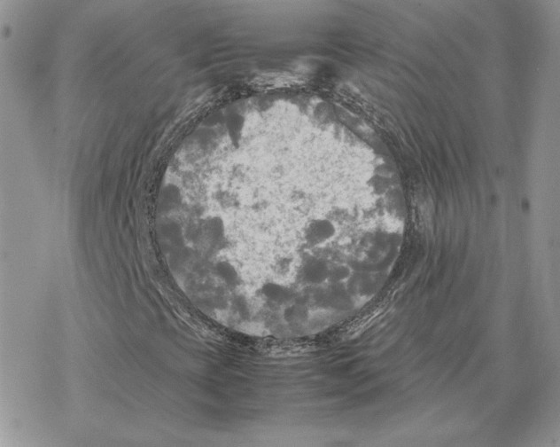 X0000077331393200611171755