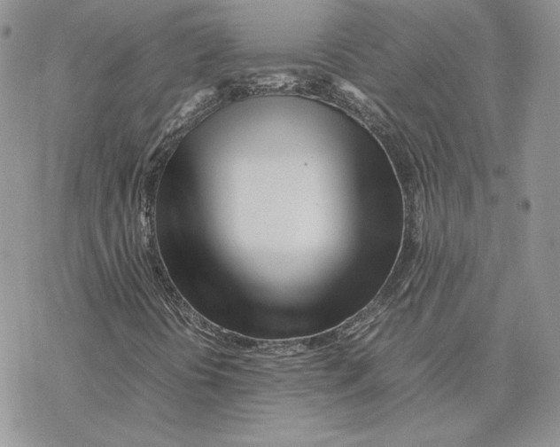 X0000077331394200611171756