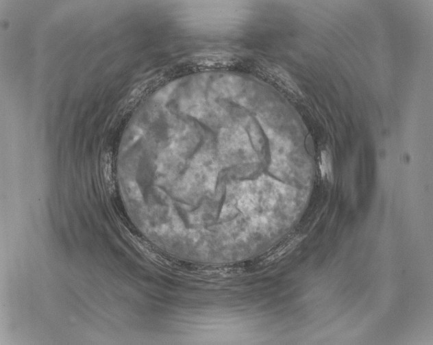 X0000077331396200611171756