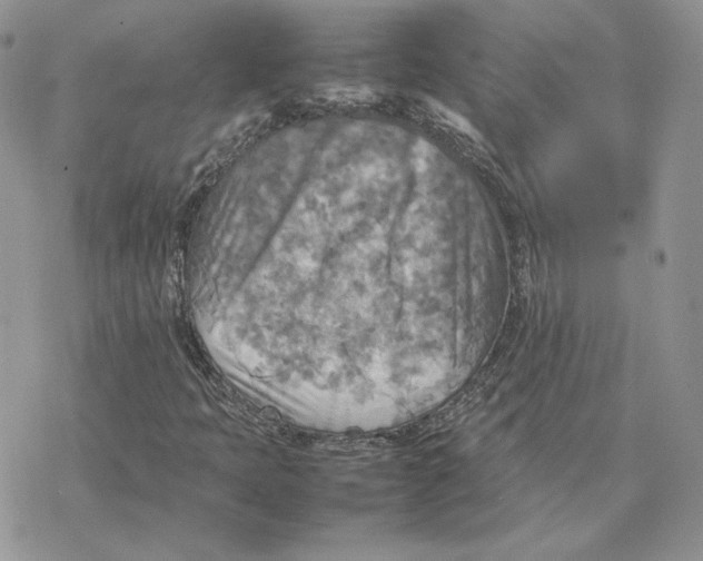 X0000077331397200611171756