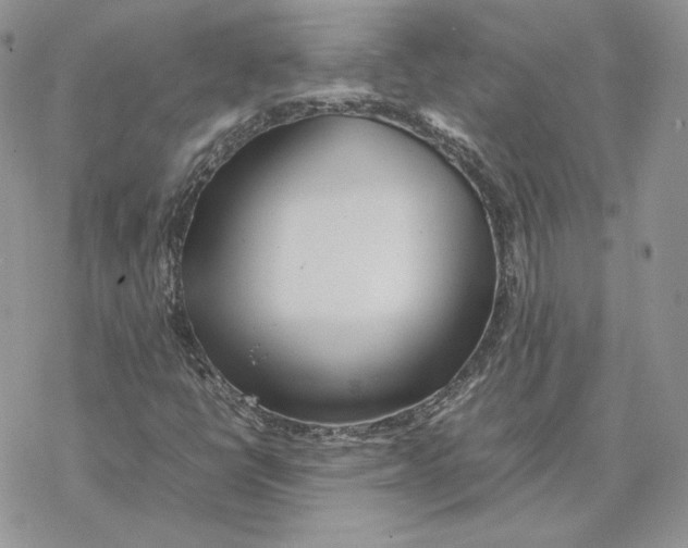 X0000077331398200611171756