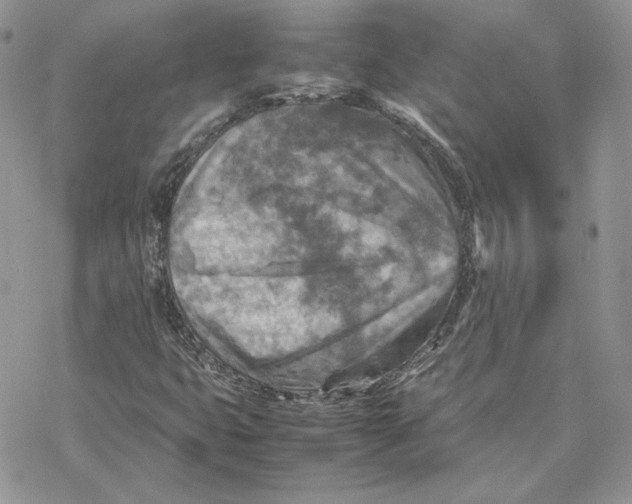 X0000077331399200611171756