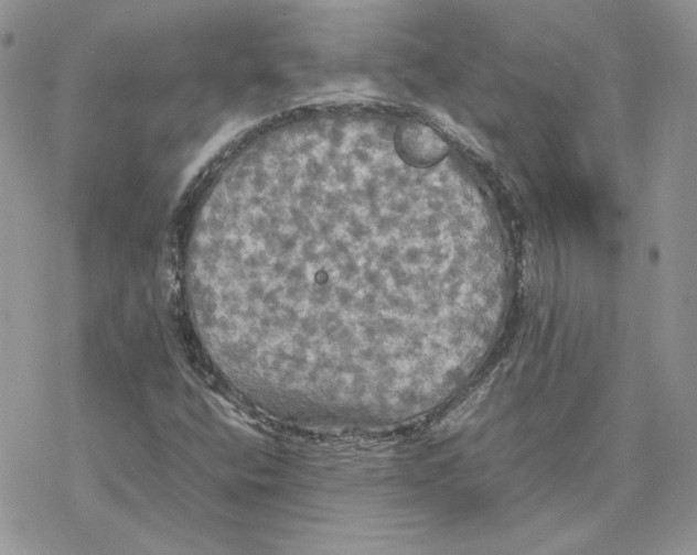 X0000077331400200611171756