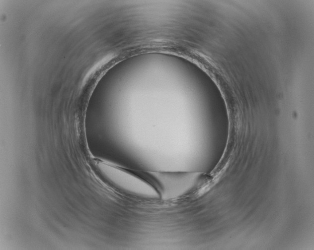 X0000077331402200611171756