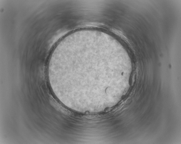 X0000077331404200611171756