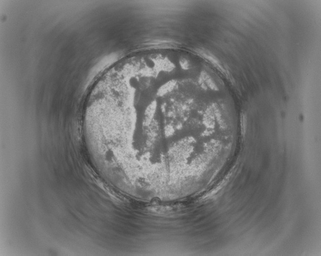 X0000077331405200611171756