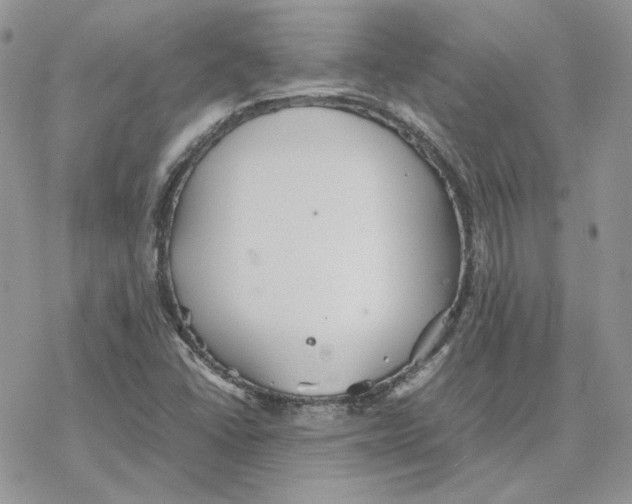 X0000077331406200611171756