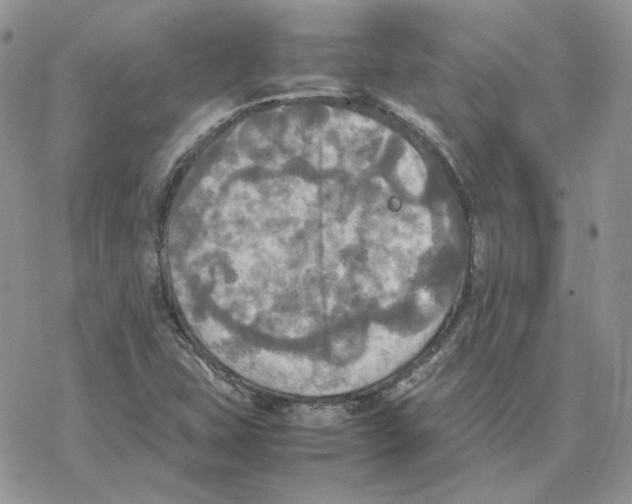 X0000077331407200611171756