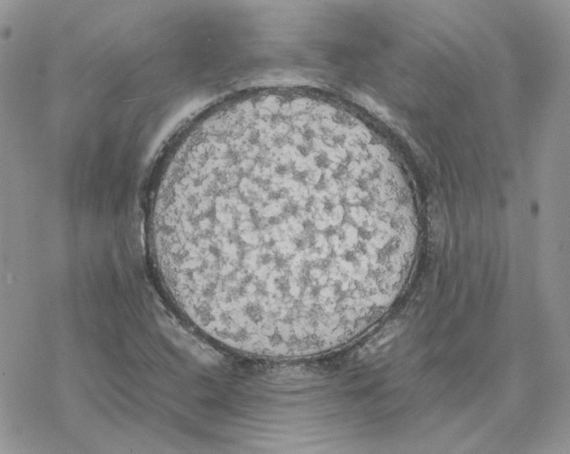 X0000077331408200611171756