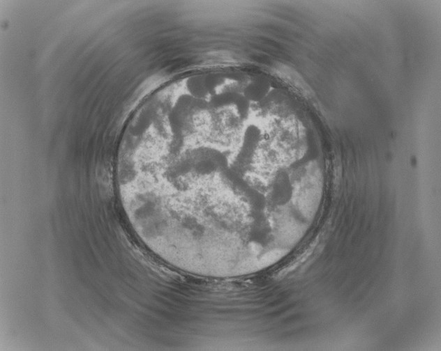 X0000077331409200611171756