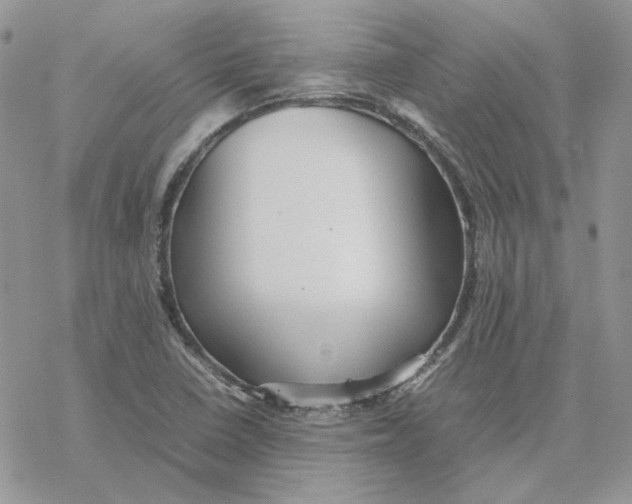 X0000077331410200611171756