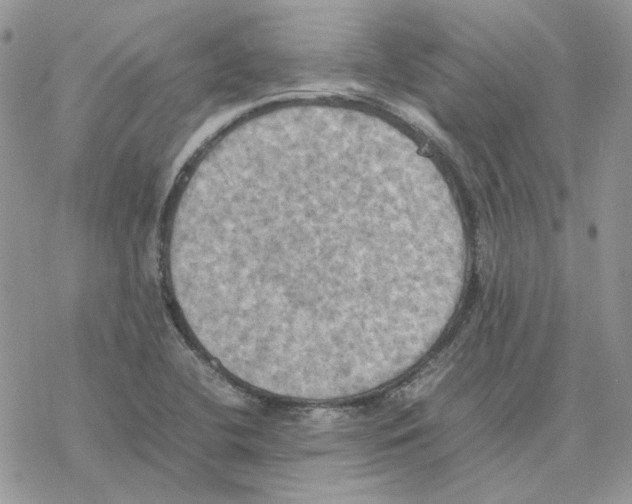 X0000077331412200611171756