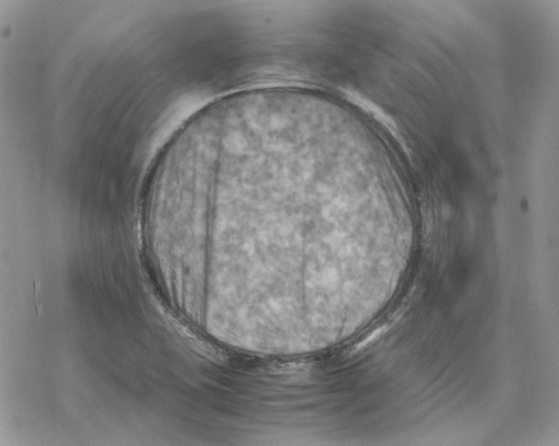 X0000077331415200611171756