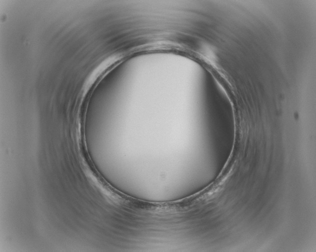 X0000077331418200611171756