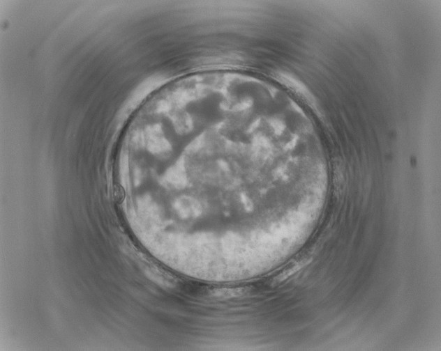 X0000077331419200611171756