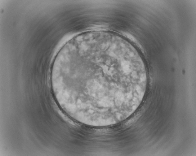 X0000077331421200611171756