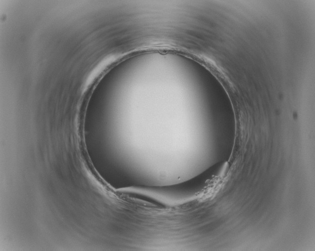 X0000077331422200611171756