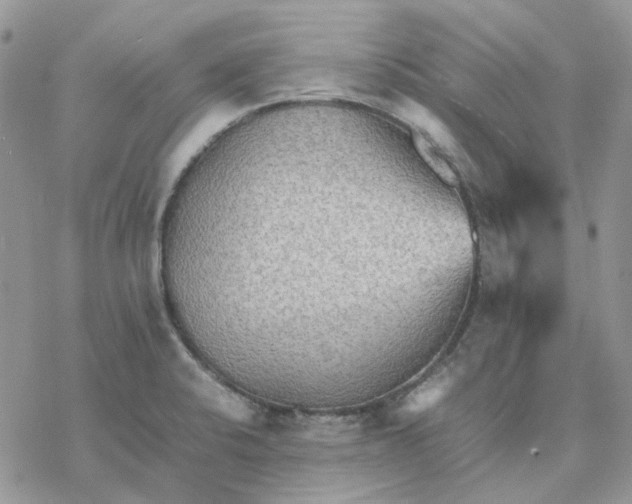 X0000077331424200611171756