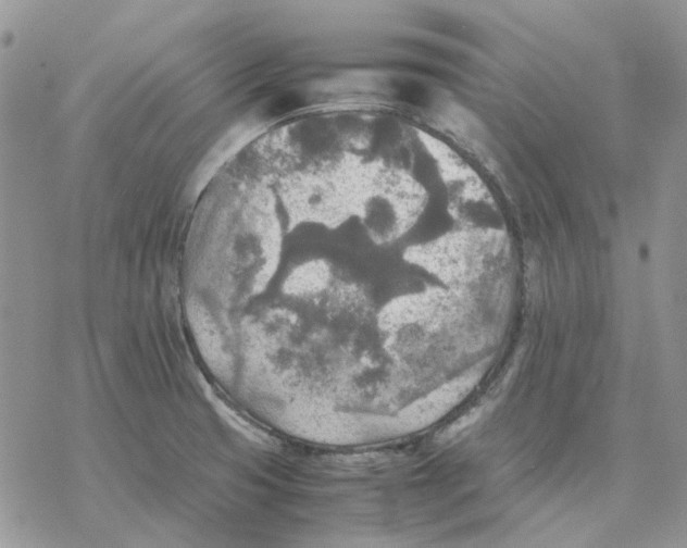 X0000077331425200611171756