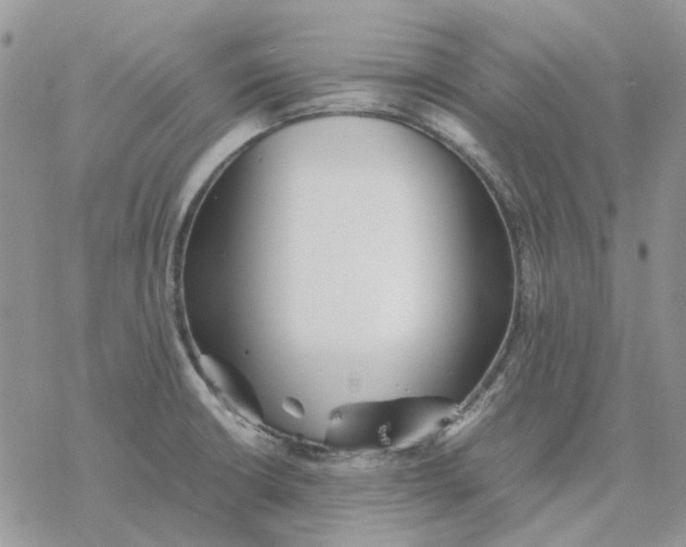 X0000077331426200611171756