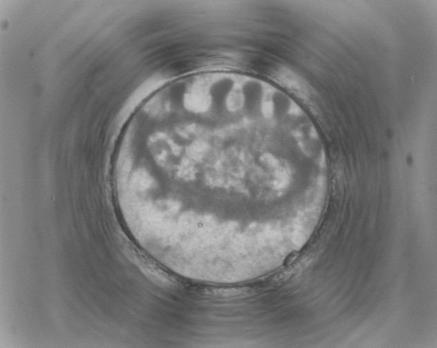 X0000077331427200611171756