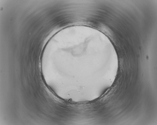 X0000077331428200611171756