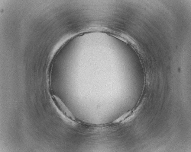 X0000077331430200611171756