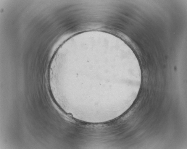 X0000077331432200611171756