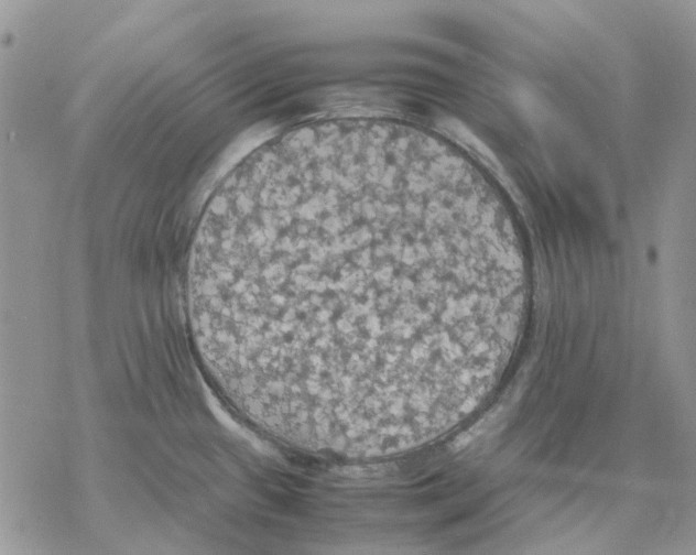 X0000077331433200611171756