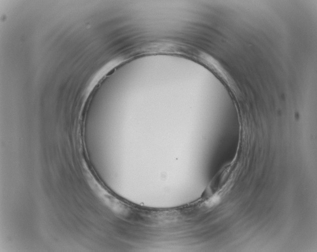 X0000077331434200611171756