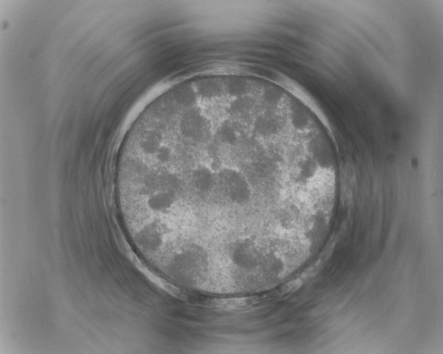 X0000077331437200611171756