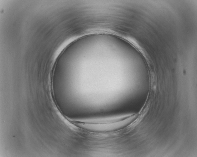 X0000077331438200611171756