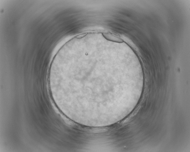 X0000077331440200611171756