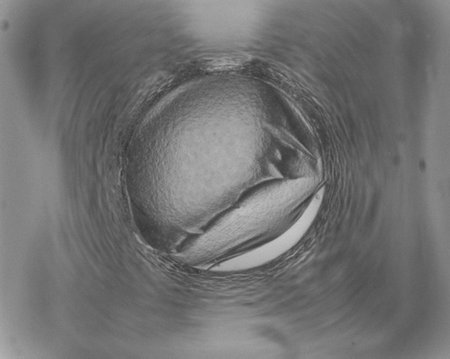 X0000077331441200611171755