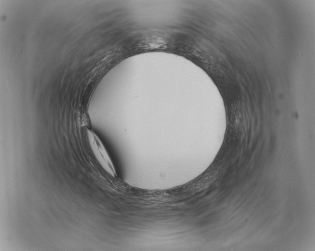 X0000077331442200611171755