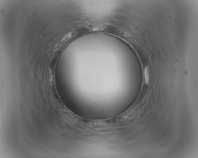 X0000077331443200611171755