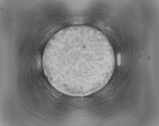 X0000077331444200611171755