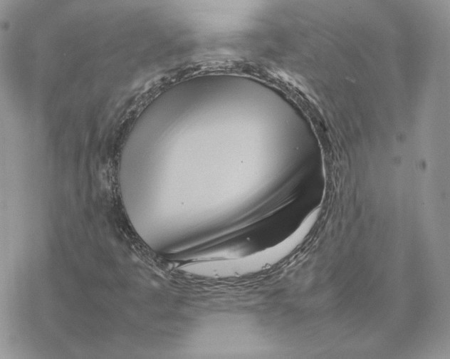 X0000077331445200611171755