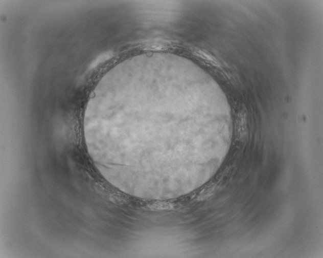 X0000077331446200611171755