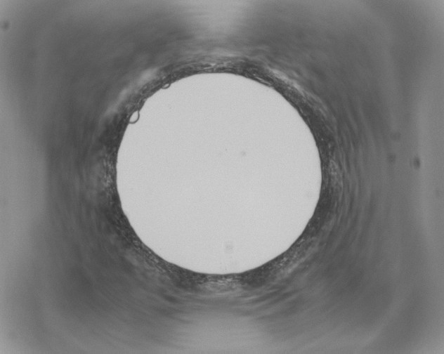 X0000077331447200611171755