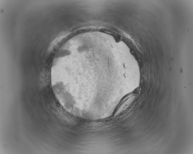 X0000077331448200611171755