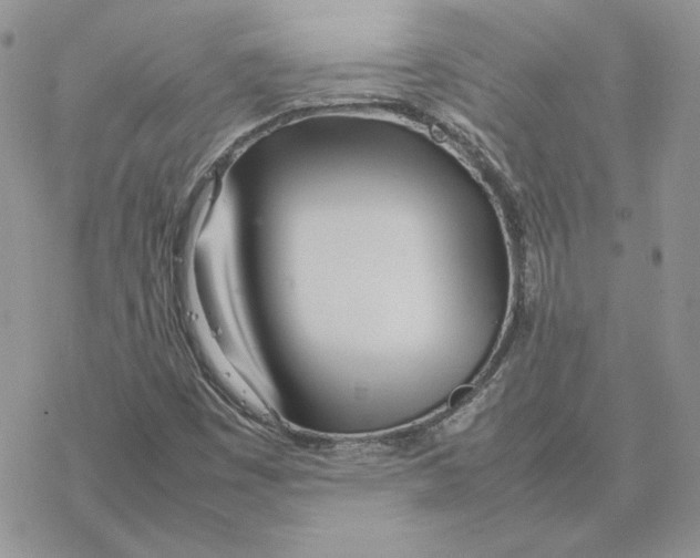 X0000077331449200611171755