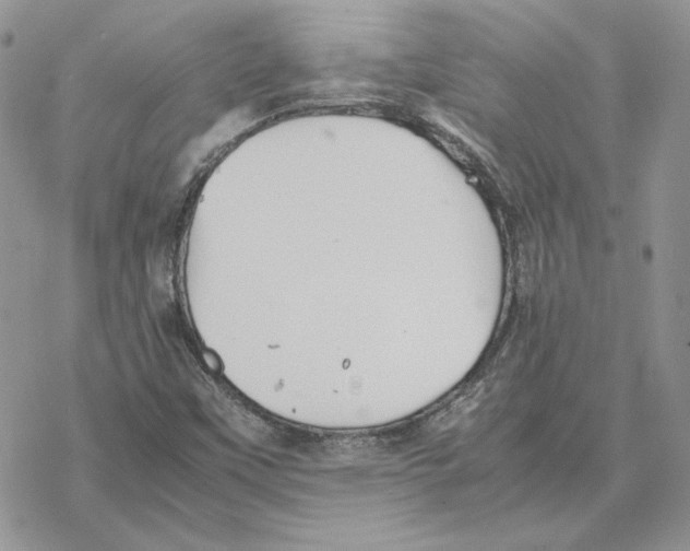 X0000077331451200611171755