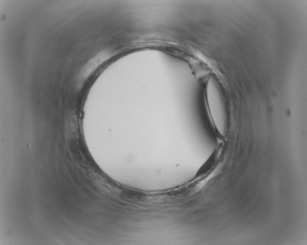 X0000077331453200611171755